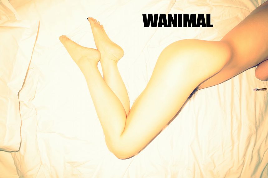 ͼ[108P] ʥ 8³Ա WANIMALٷƷ P.3