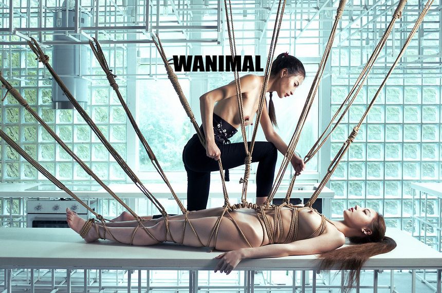 ͼ (ʮ) WANIMALƷ [112P] ʥ P.1 